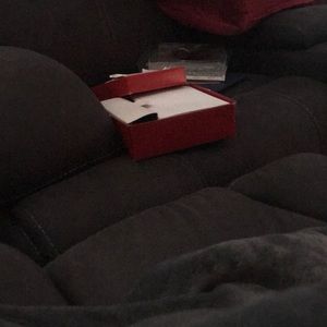 Meet your Posher, Sandy